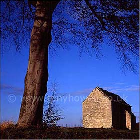Barn, tree, Gloucestershire