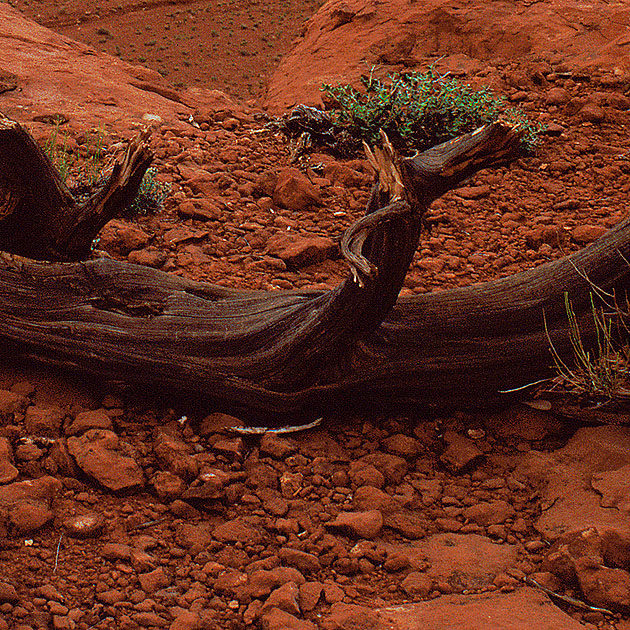 Monument Valley 