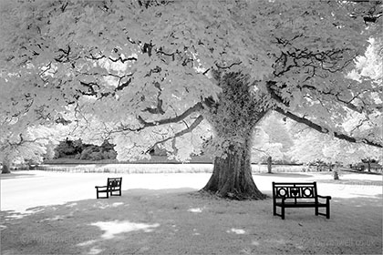 Infrared Benches