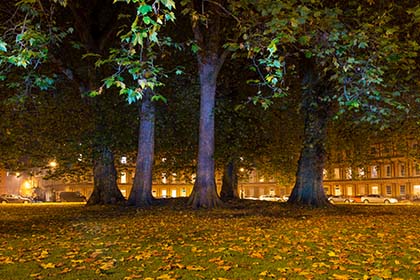 London Plane Trees, The Circus, Bath, Night 