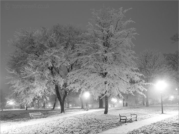 Bench, Trees, Snow, Clifton Down