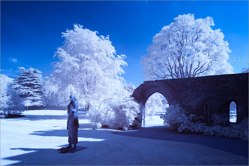 Pilgrim Statue, Bishops Palace (Infrared Camera, turns foliage white)