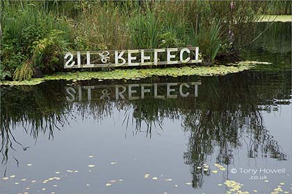 Sit-and-Reflect-6962