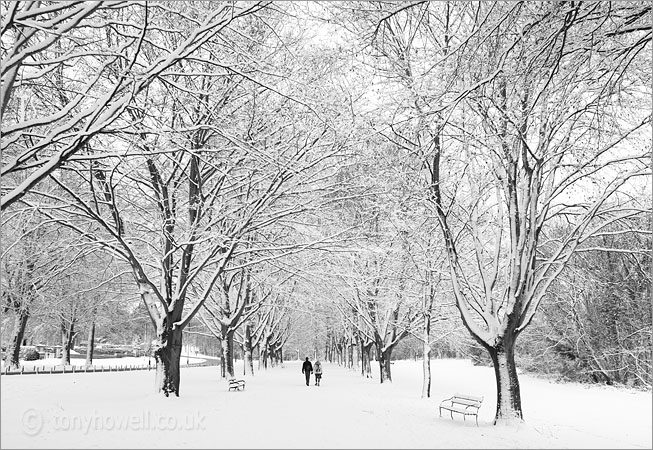 Clifton Promenade, Snow