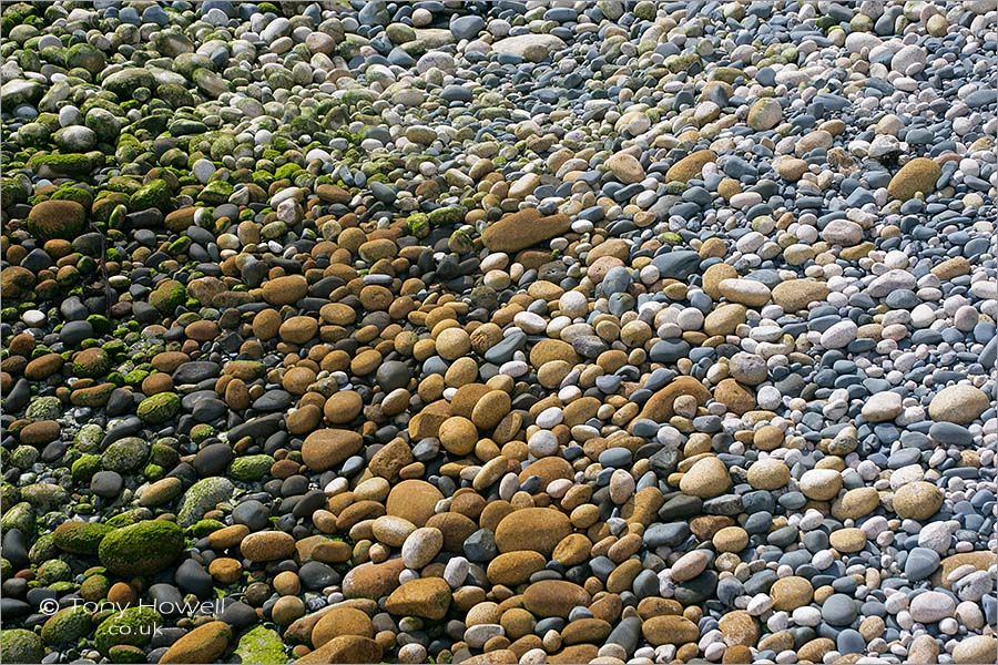 Pebbles, Porth Nanven Beach