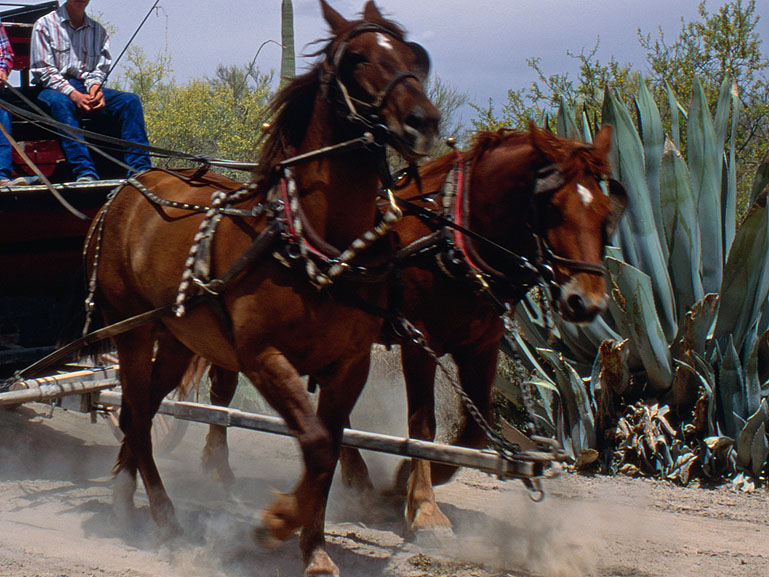 Photography of Tucson, Arizona
