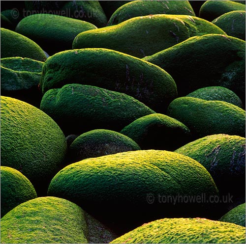 Green Boulders, Porth Nanven, 1995.