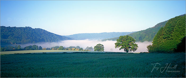  Mist, Dawn, Clearwell