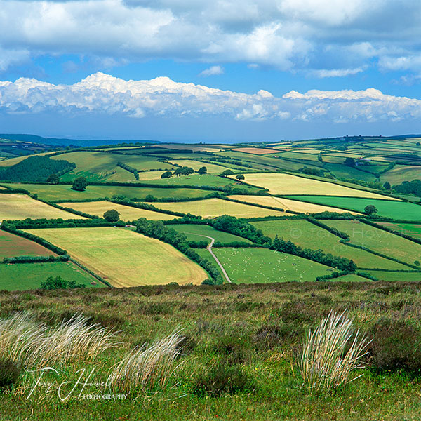 View from Winsford Hill