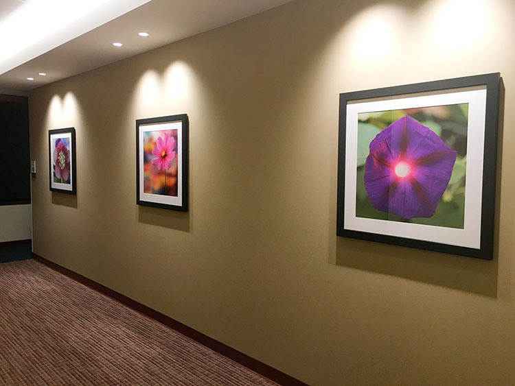 Flower prints at Northwestern Memorial Hospital, Chicago, USA
