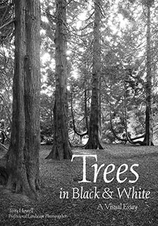 Trees-Black-and-White book