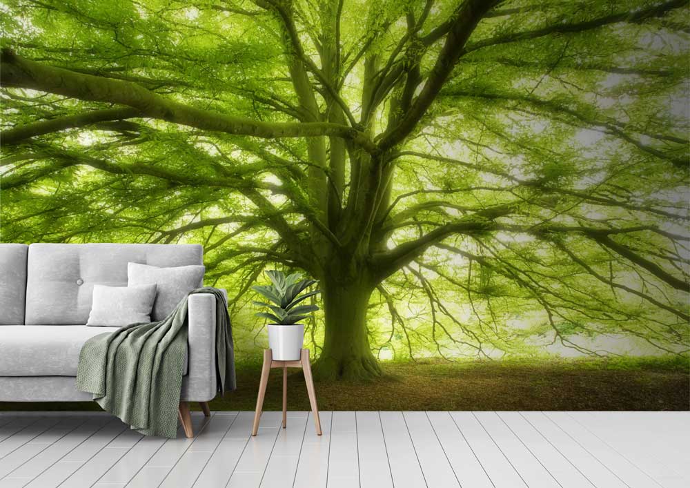Tree wallpaper