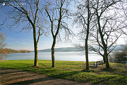 Blagdon Lake through trees