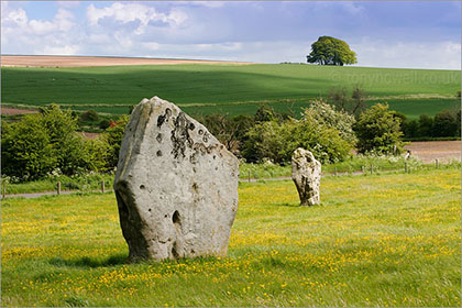 Avebury Avenue