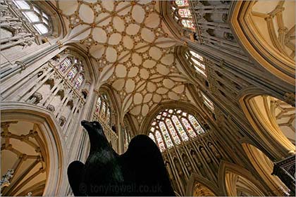 Cathedral Ceiling