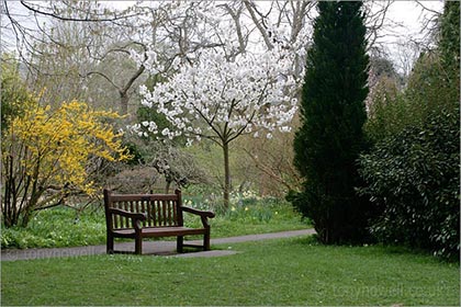 Bench, Spring