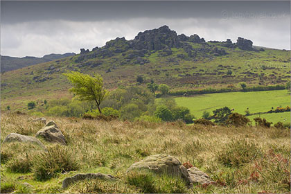 Dartmoor Photos