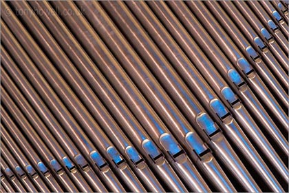 Organ Pipes