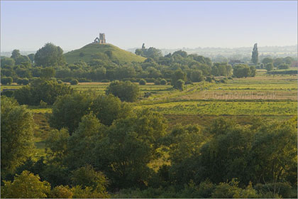 Sea of Green, Burrow Mump