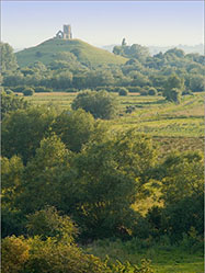 Burrow Mump