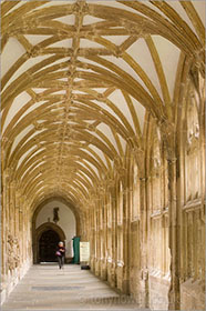 Cloisters