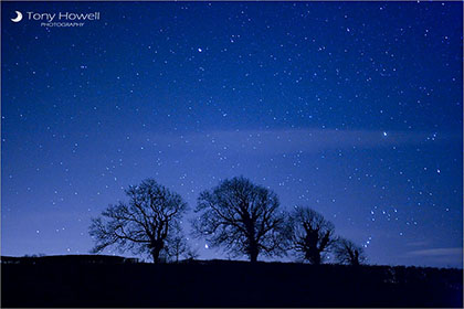 Brent Knoll