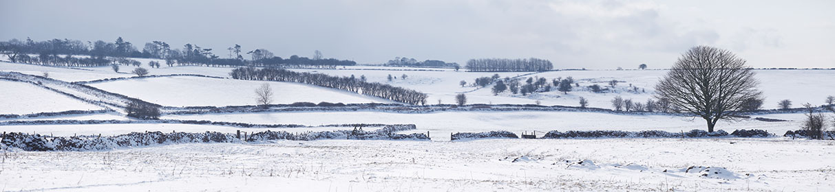 Snow near Priddy