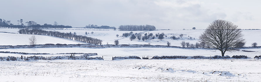 Snow near Priddy