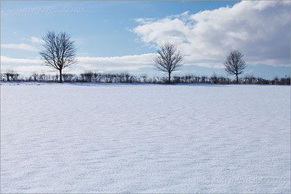 The Cotswolds