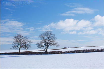 The Cotswolds