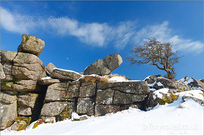 Bowermans Nose, Dartmoor