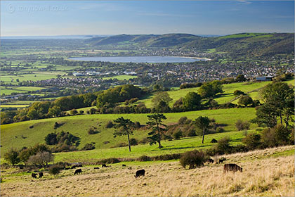 Cheddar Reservoir