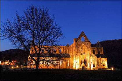 Night, Tintern Abbey