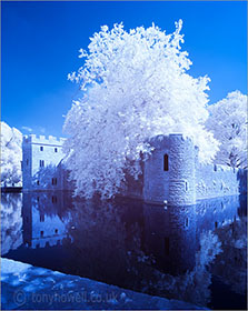 Infrared Bishops Palace