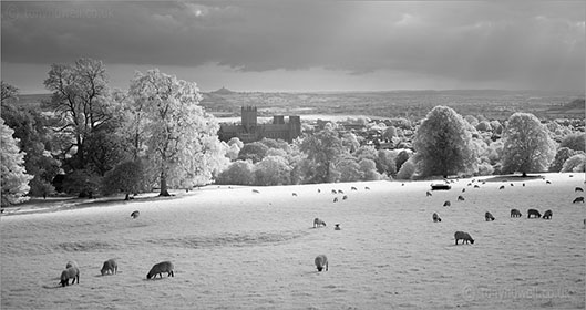Infrared Wells Cathedral