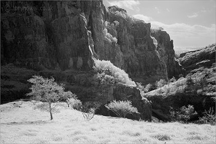 Infrared Gorge