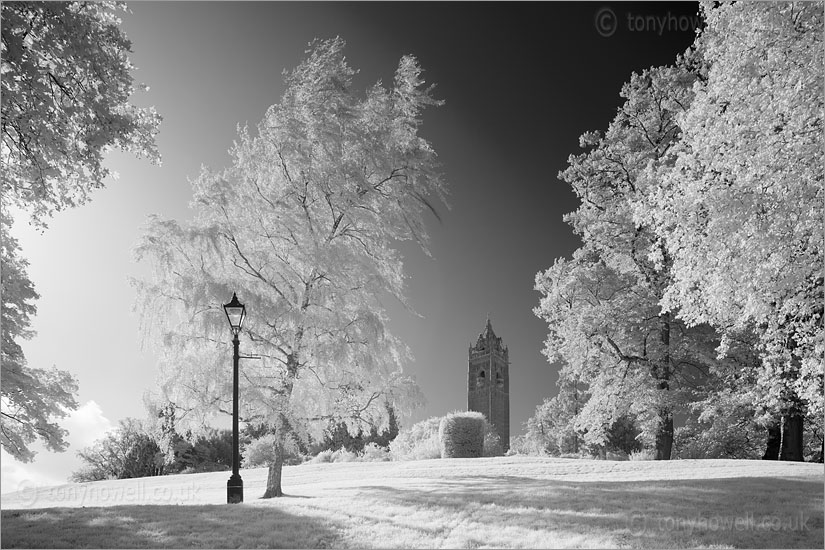 Cabot Tower (Infrared Camera, turns foliage white)