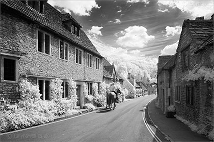 Horses, Castle Combe