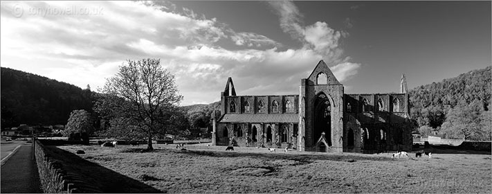 Tintern Abbey