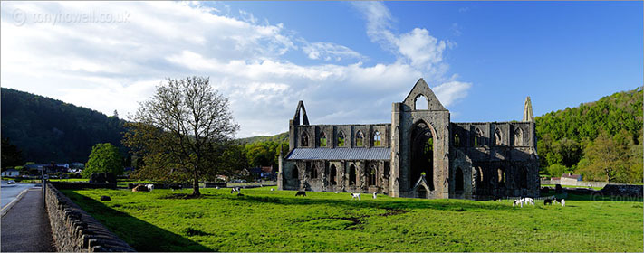 Tintern Abbey