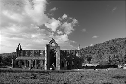 Tintern Abbey