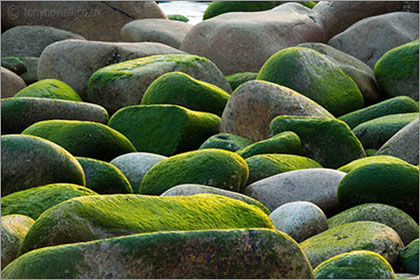 Porth Nanven, Cornwall