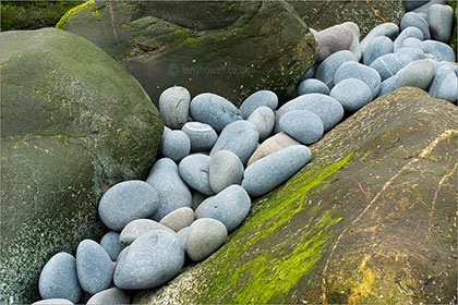 Pebbles, Westward Ho!