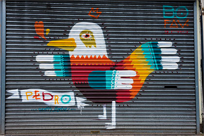 Graffiti, bird