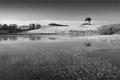 Waldegrave Pool