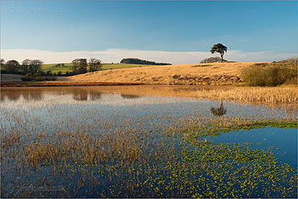 Waldegrave Pool