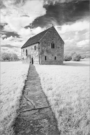 Abbots Fish House, Meare (Infrared Camera, turns foliage white)