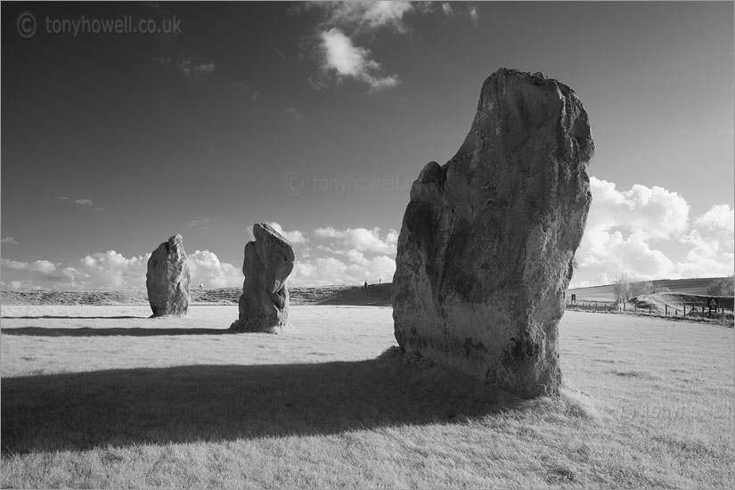 Avebury Standing Stones (Infrared Camera, turns foliage white)