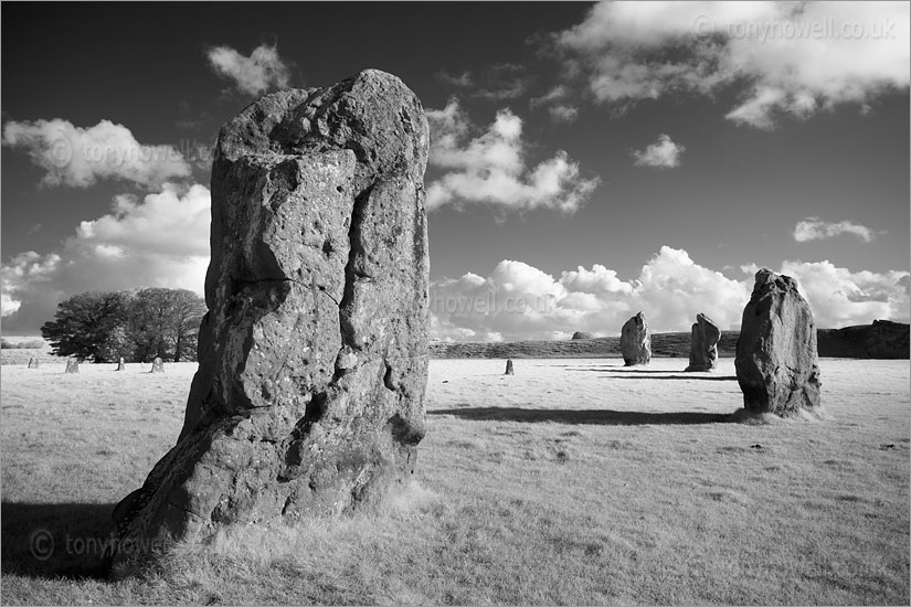 Avebury Standing Stones (Infrared Camera, turns foliage white)