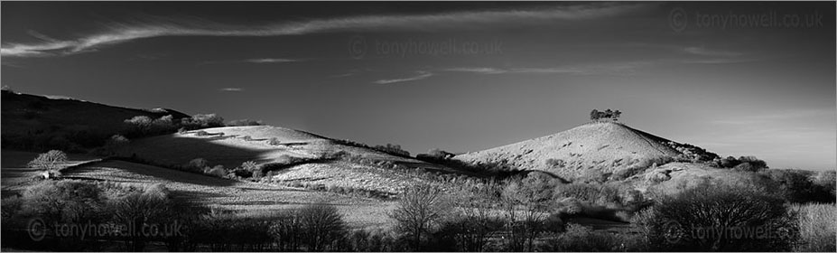 Colmers Hill, Dorset